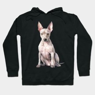 American Hairless Terrier Hoodie